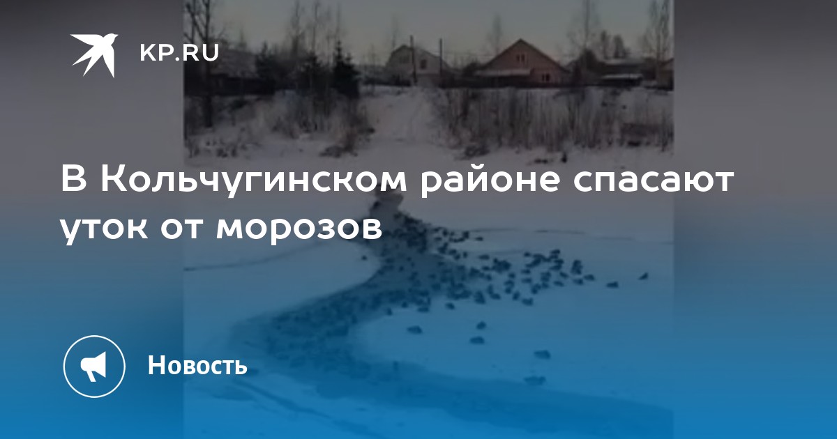 Исток водоем