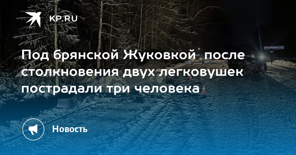 Погода в жуковке брянской на 10