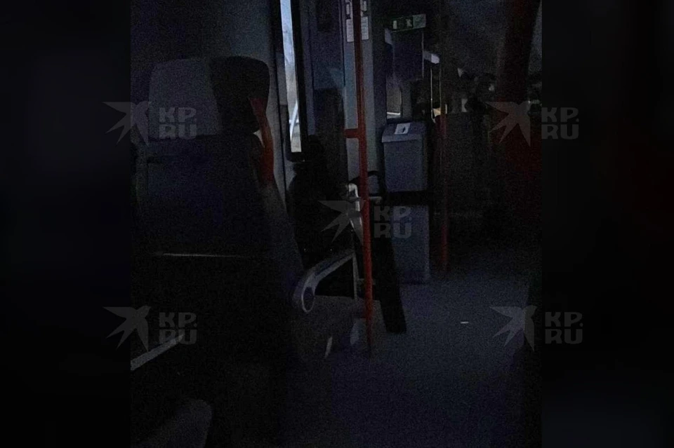 В "Ласточке", следующей из Нижнего Тагила в Качканар, временно отключали свет. Фото: читатель "КП"