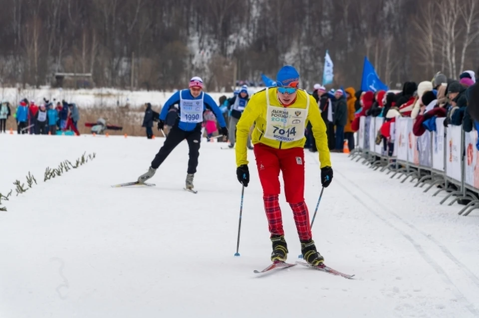 «Лыжня России 2024» пройдет в деревне Каменка под Смоленском.