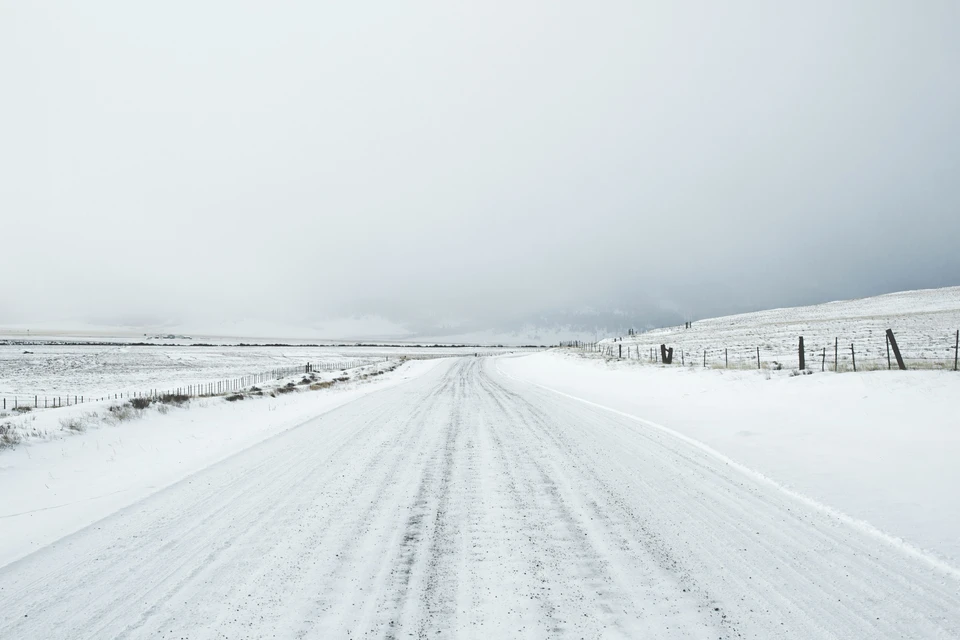 Фото - Unsplash.com