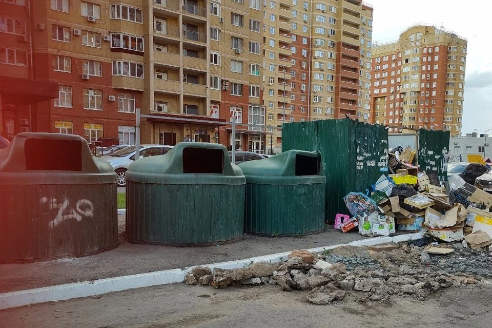 Администрацию Южного округа обязали привести мусорную площадку в порядок до 1 июля 2024 года.