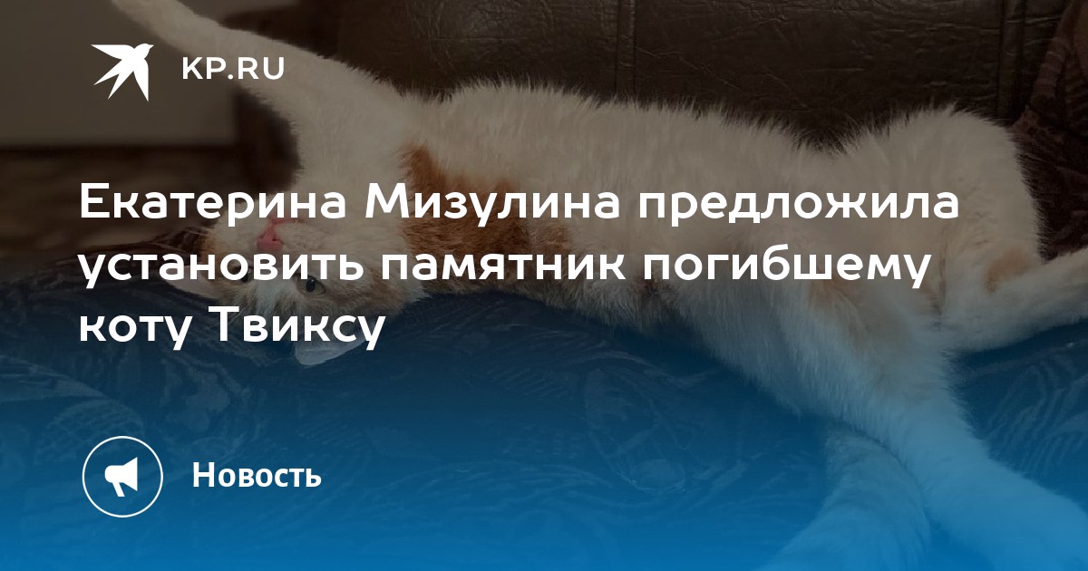 Мизулина предложила памятник коту