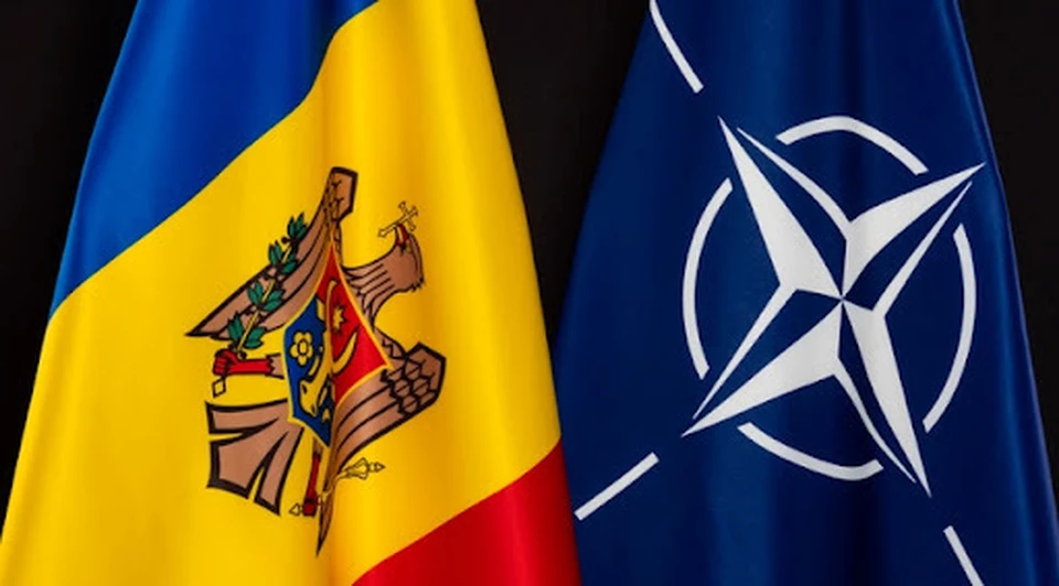 Учения НАТО в 2024 году будут проходить и на территории Молдовы. Фото:соцсети