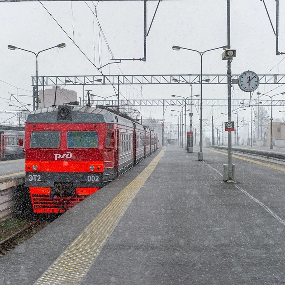 Депутат Бурматов: стоит приравнять питомцев в поездах к пассажирам - KP.RU