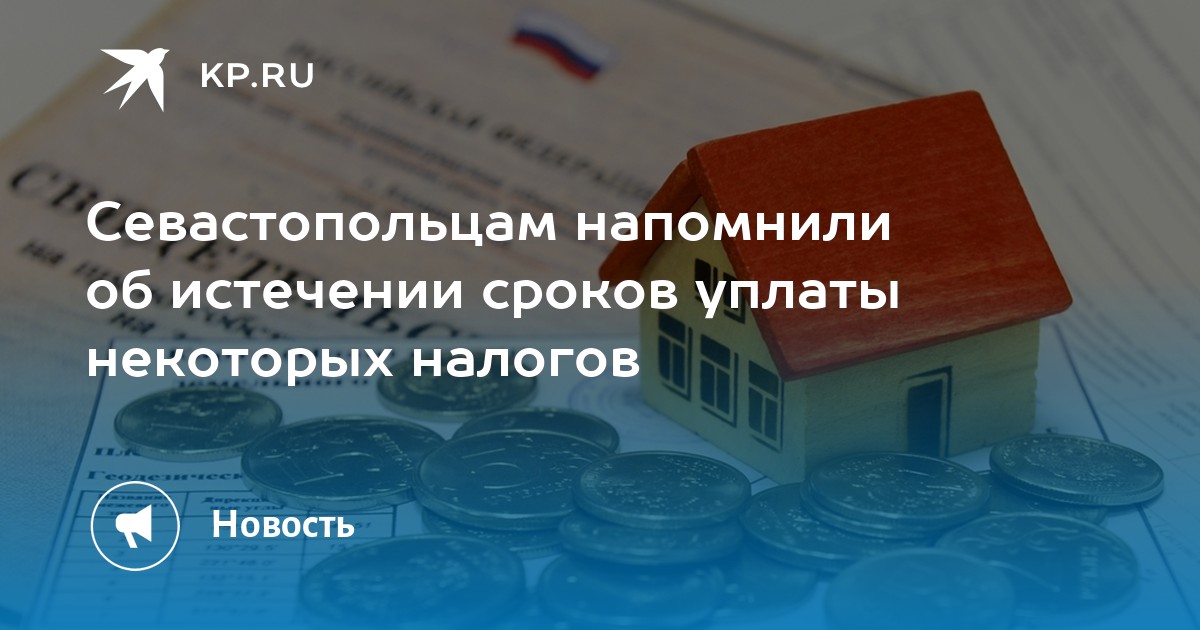 Есть ли срок уплаты налога. Есть ли срок уплаты налога