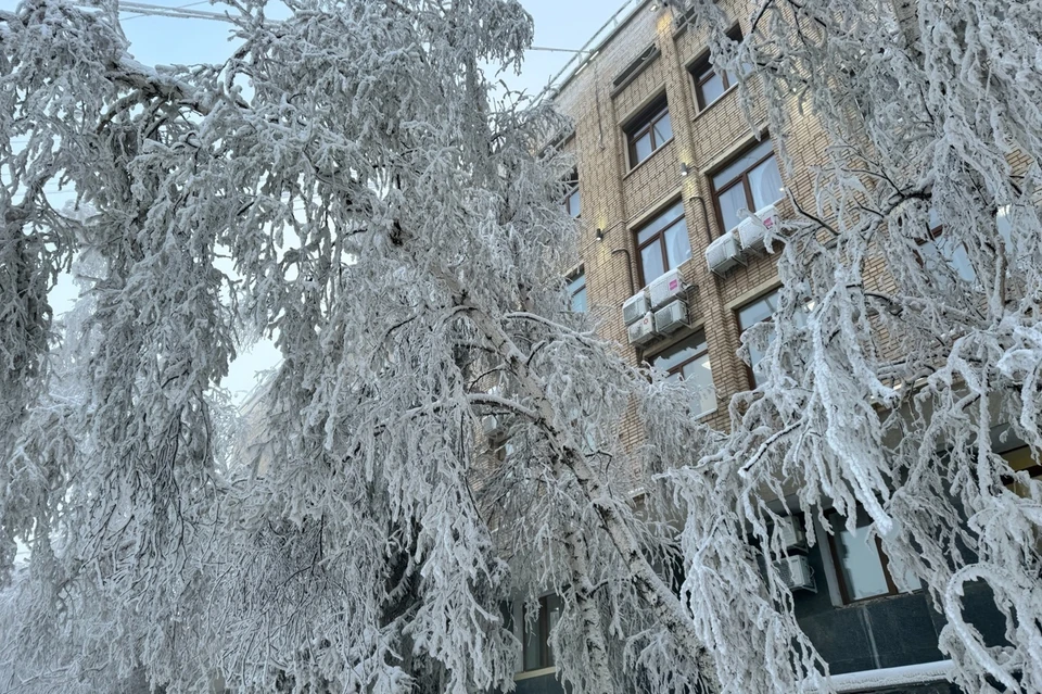 Самые морозные дни еще впереди.