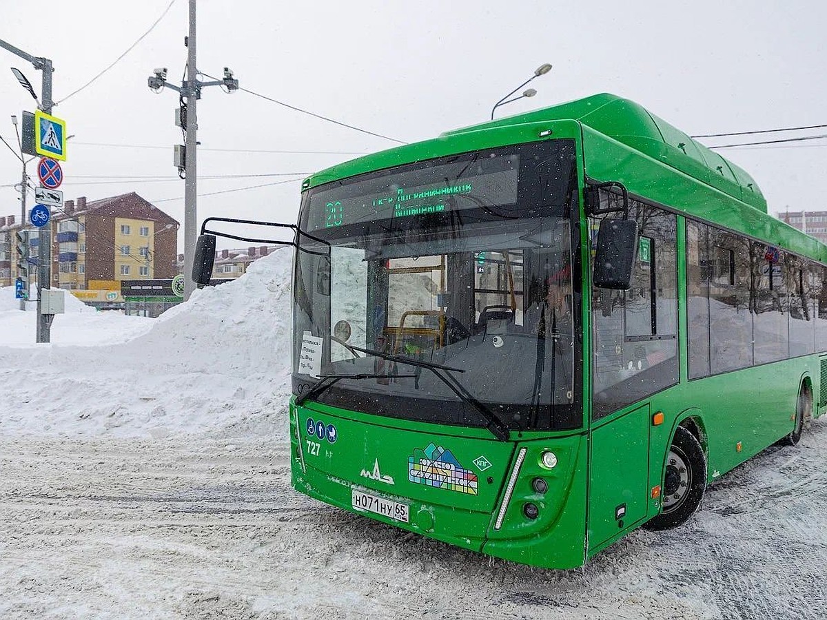 Междугородные автобусы возобновили работу ещё по нескольким маршрутам -  KP.RU