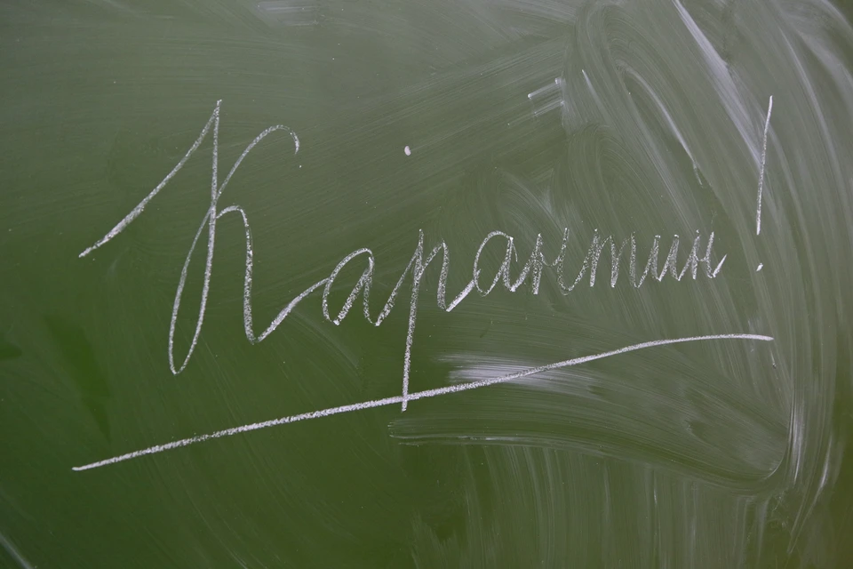 В Смоленской области на прошлой неделе 7 школ ушли на карантин