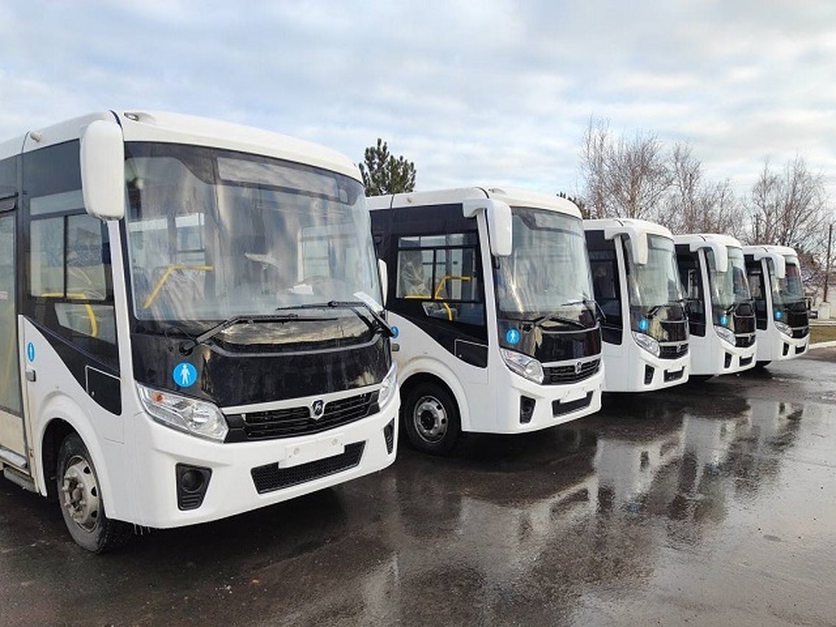 В ДНР поступили более 160 новых автобусов в рамках федеральной программы -  KP.RU