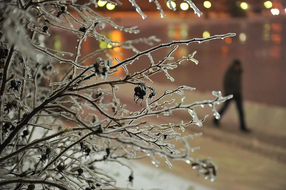 МЧС: в Москве в ночь на четверг пройдет ледяной дождь