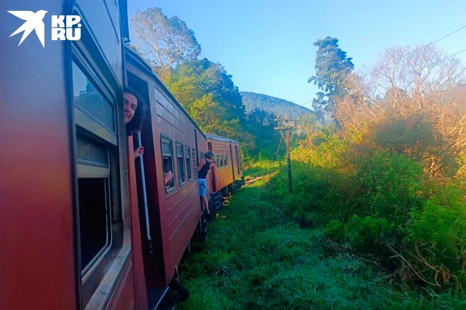 Красноярка на Шри-Ланке хотела сделать селфи в поезде и выпала на ходу