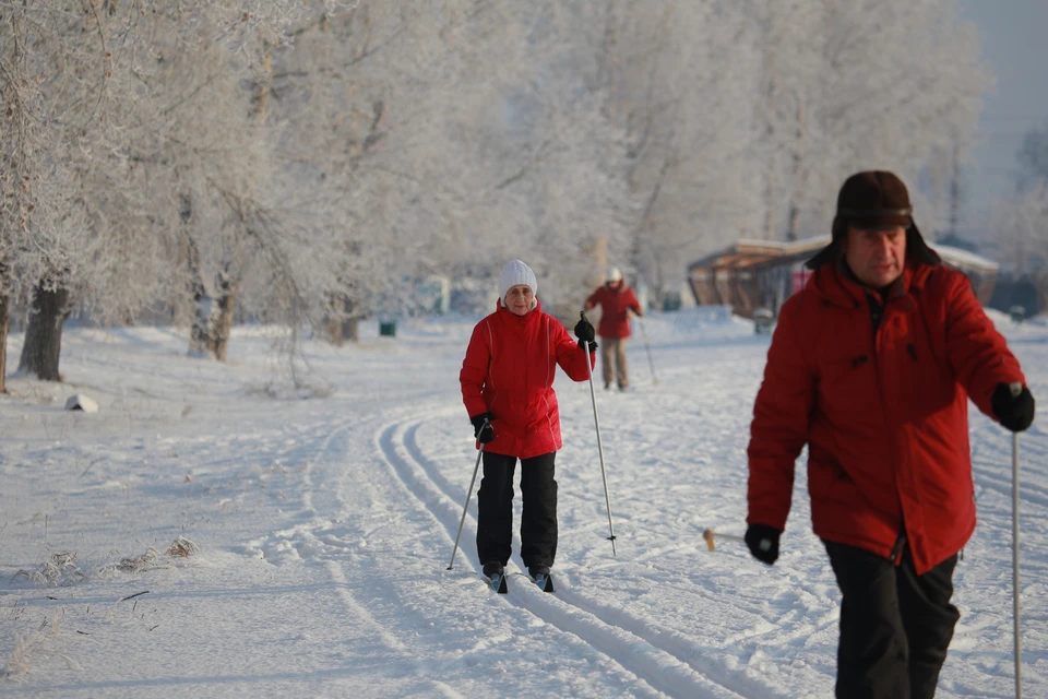 Две с половиной тысячи пожилых людей в Красноярске активно занимаются спортом