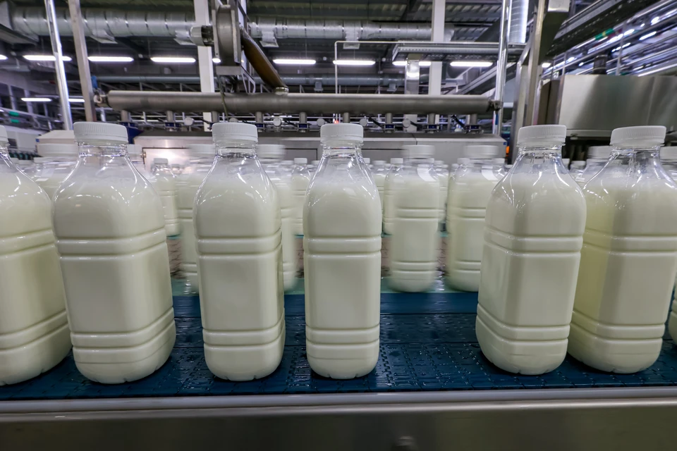 Стоимость молока в Ростове-на-Дону составила 93,07 рубля за литр