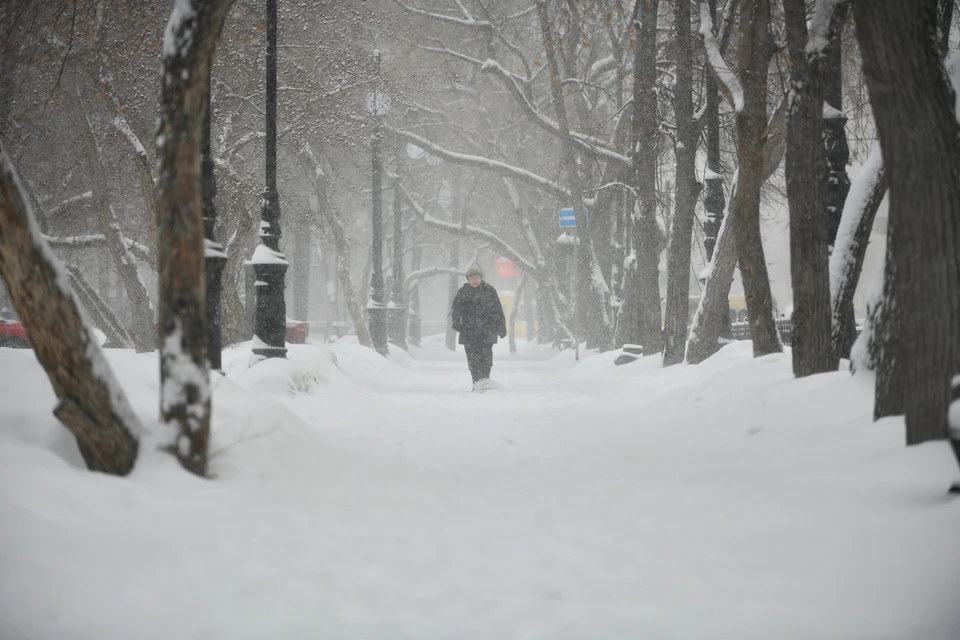 3 февраля в Новосибирске похолодает до -10 градусов.