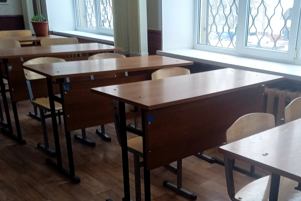 Учащихся 192 классов школ и гимназии Липецка перевели на дистанционное обучение