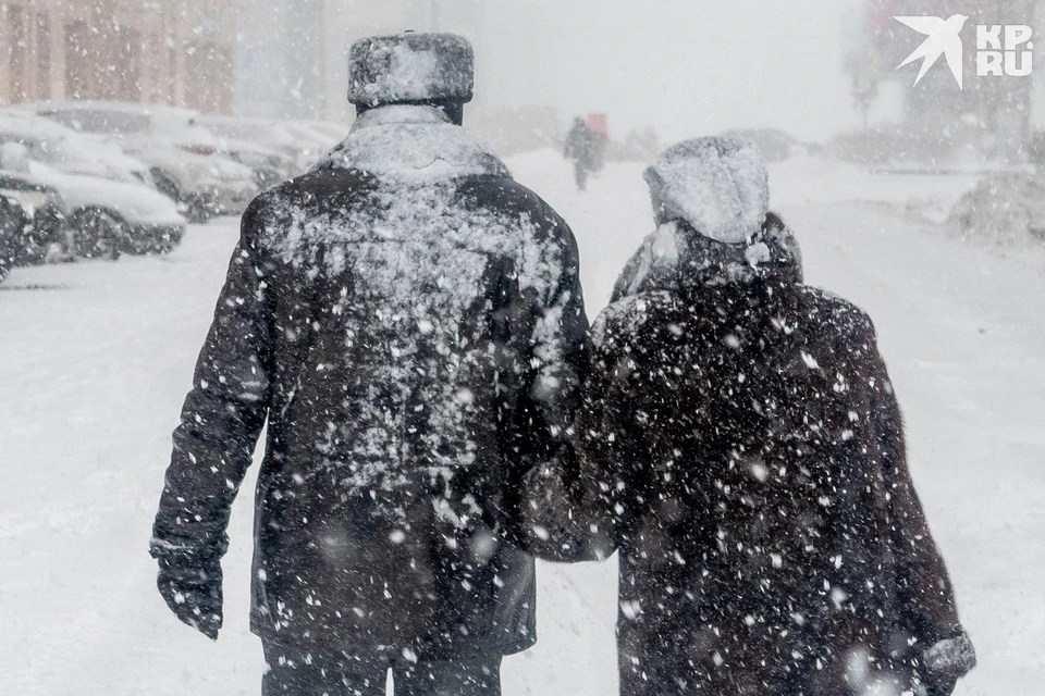 Снег, метель, порывистый ветер придут в Рязанскую область 7 февраля.