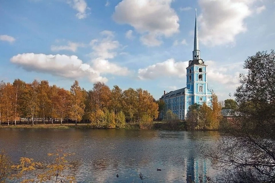 В Ярославле Петропавловский парк могут благоустроить в 2025 году. ФОТО: телеграм-канал Артема Молчанова