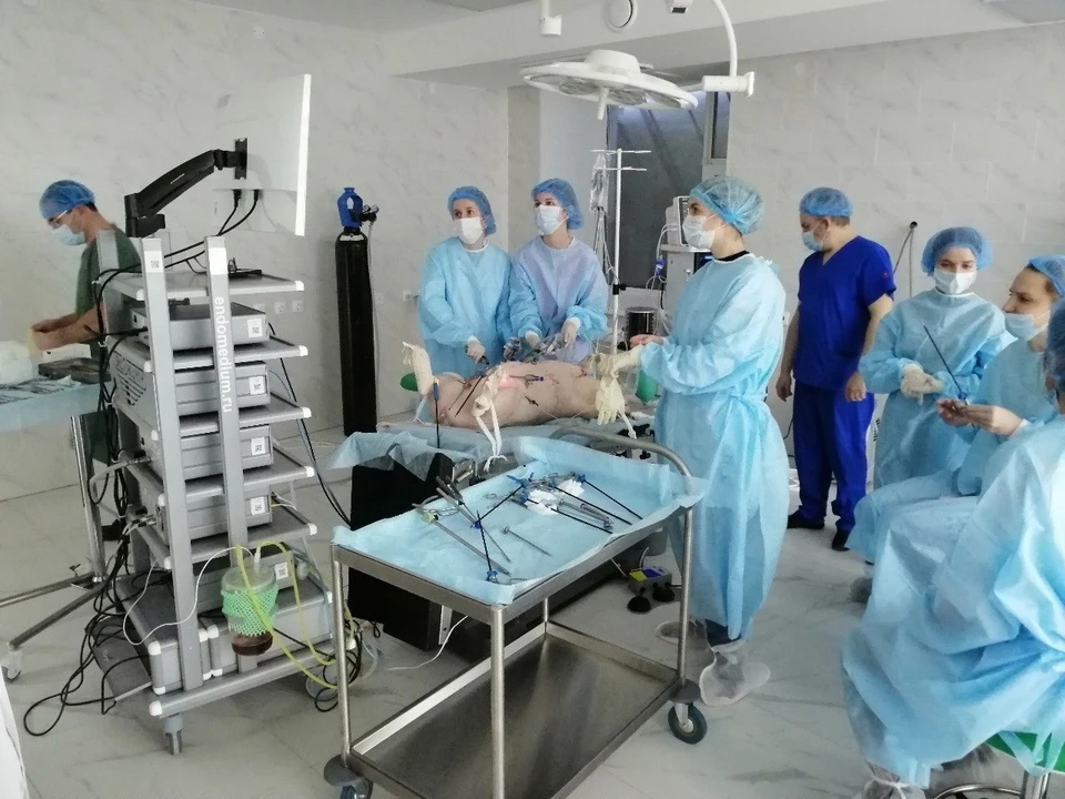 Хирурги НОЦ ПИМУ провели первую операцию на живой свинье. Фото: пресс-служба ПИМУ