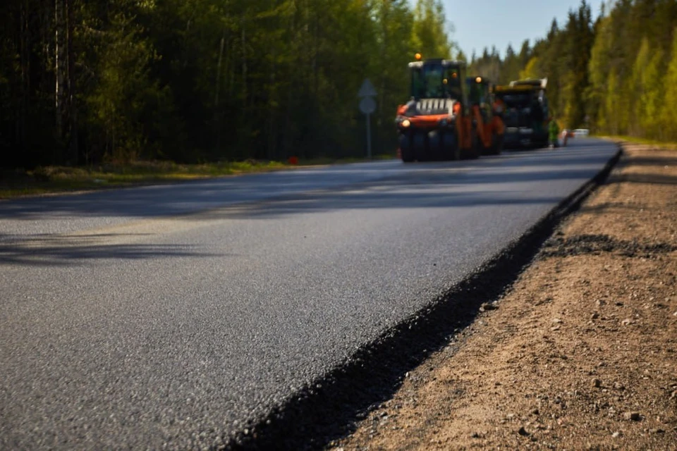 Дорогу планируют отремонтировать летом 2024 года. Фото: пресс-служба Дорожного комитета Ленобласти
