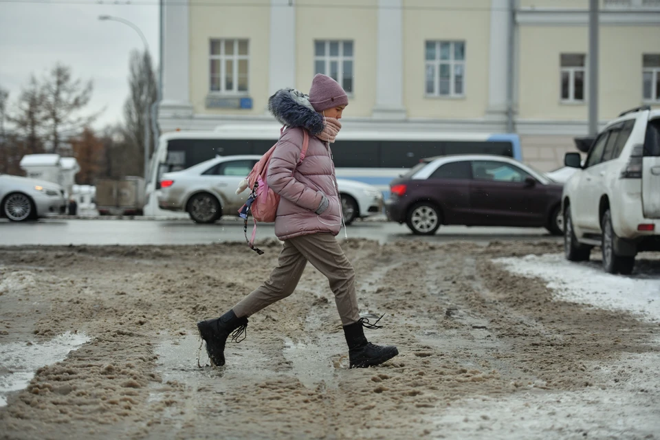 8 февраля в Новосибирске потеплеет до 0 градусов.