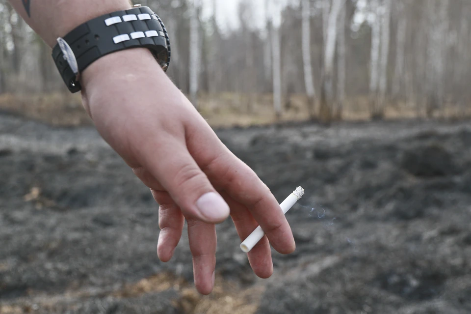 Пожар возник из-за сигареты, которую местный житель выбросил в траву
