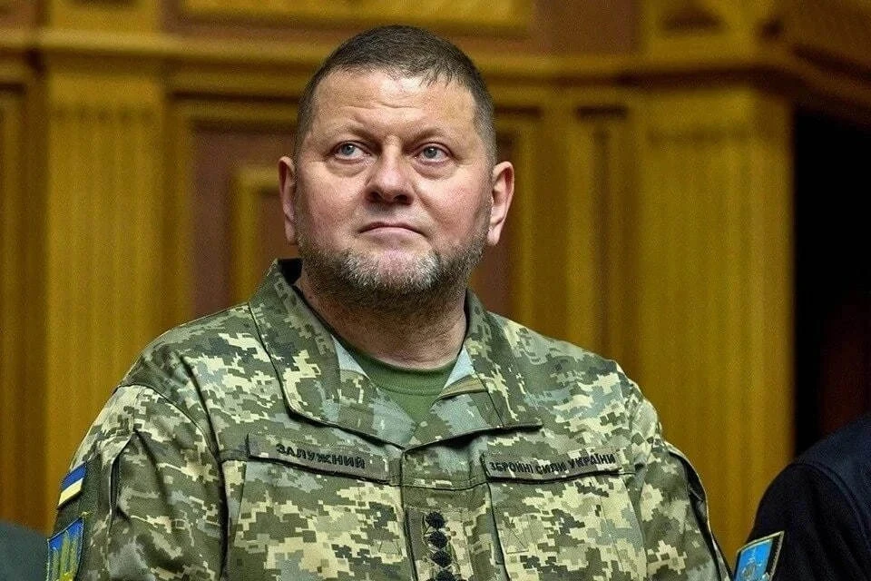 Офис президента Украины назвал причины отставки Залужного