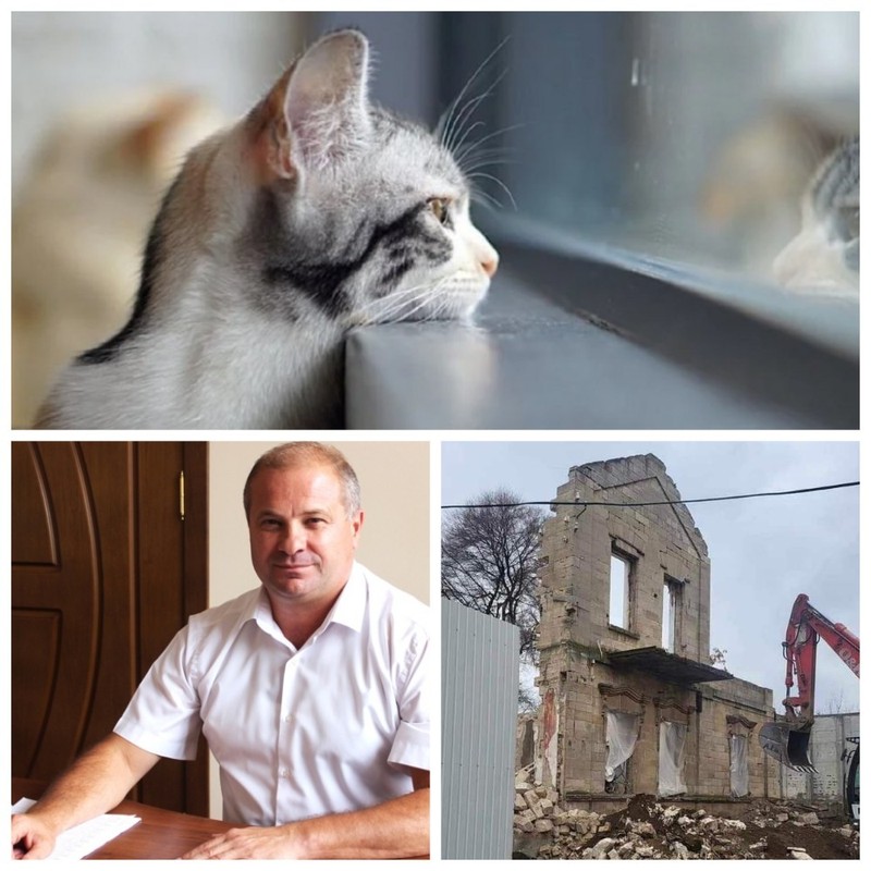 Главные новости в Молдове.