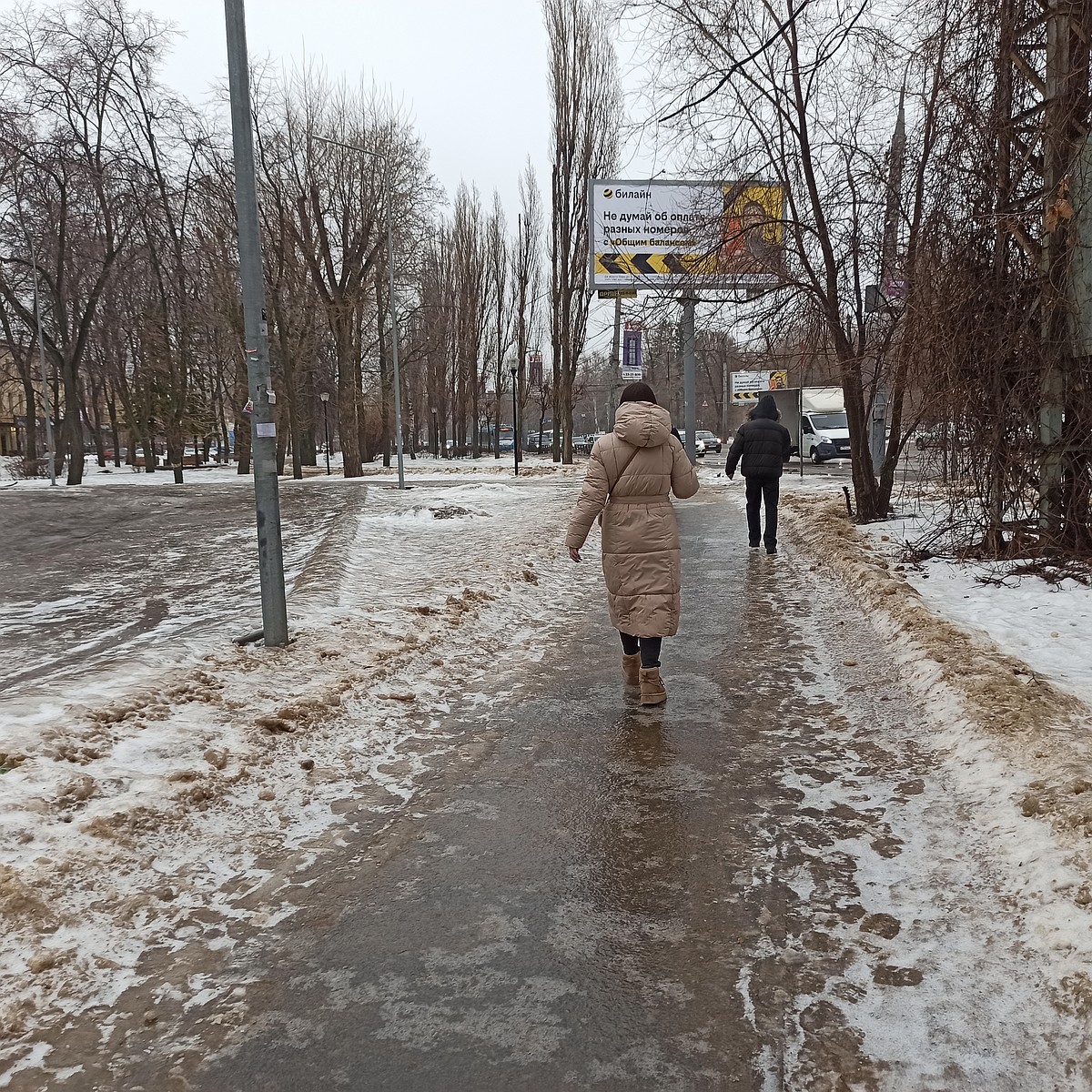 Мы подверглись беспощадному нападению зимы»: что говорят воронежцы о  покрытых льдом улицах - KP.RU