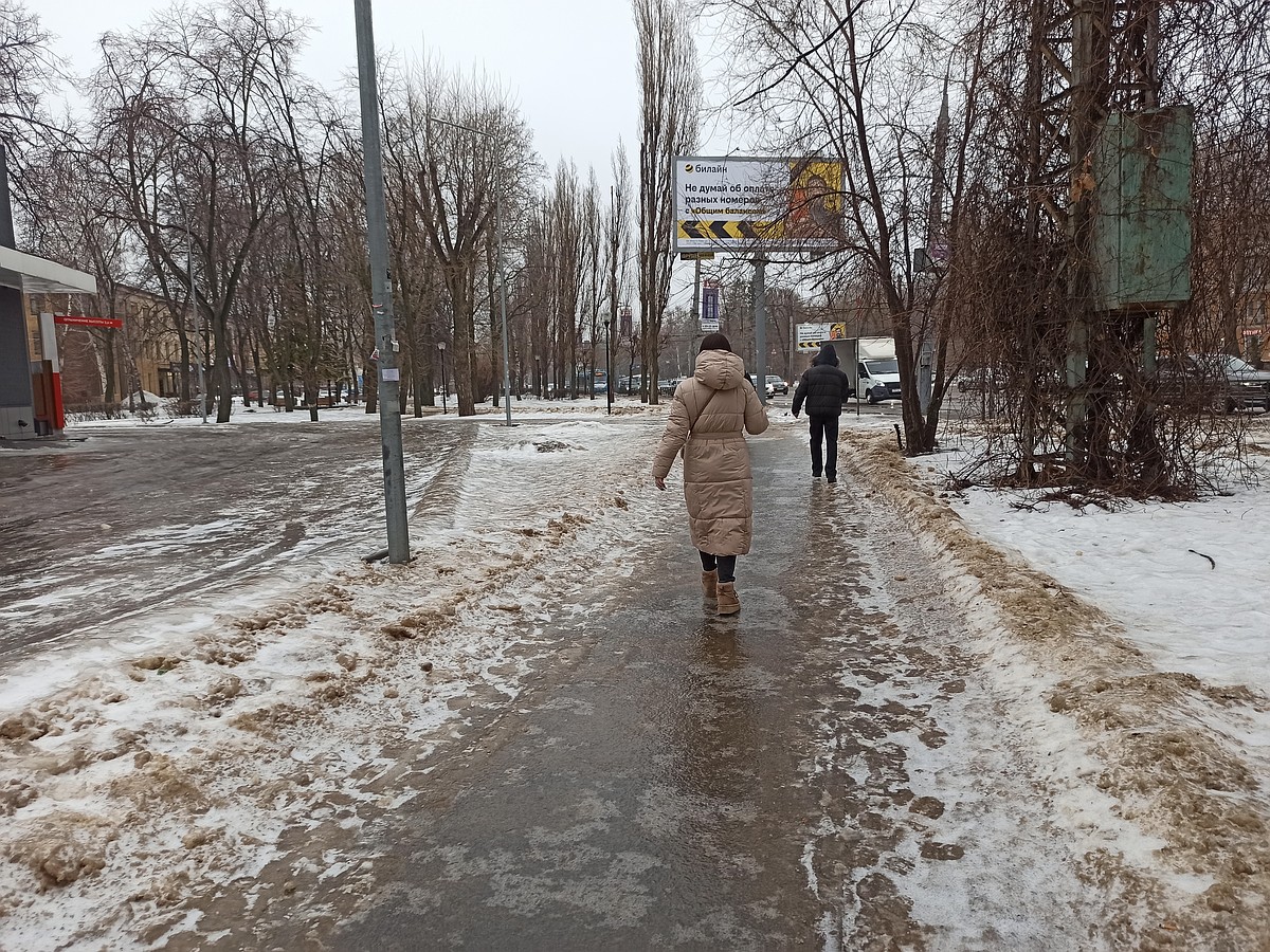 Мы подверглись беспощадному нападению зимы»: что говорят воронежцы о  покрытых льдом улицах - KP.RU