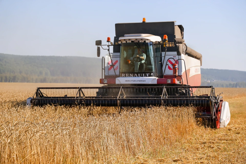 Из Ульяновской области сначала 2024 года отгружено на экспорт свыше 10000 тонн зерна