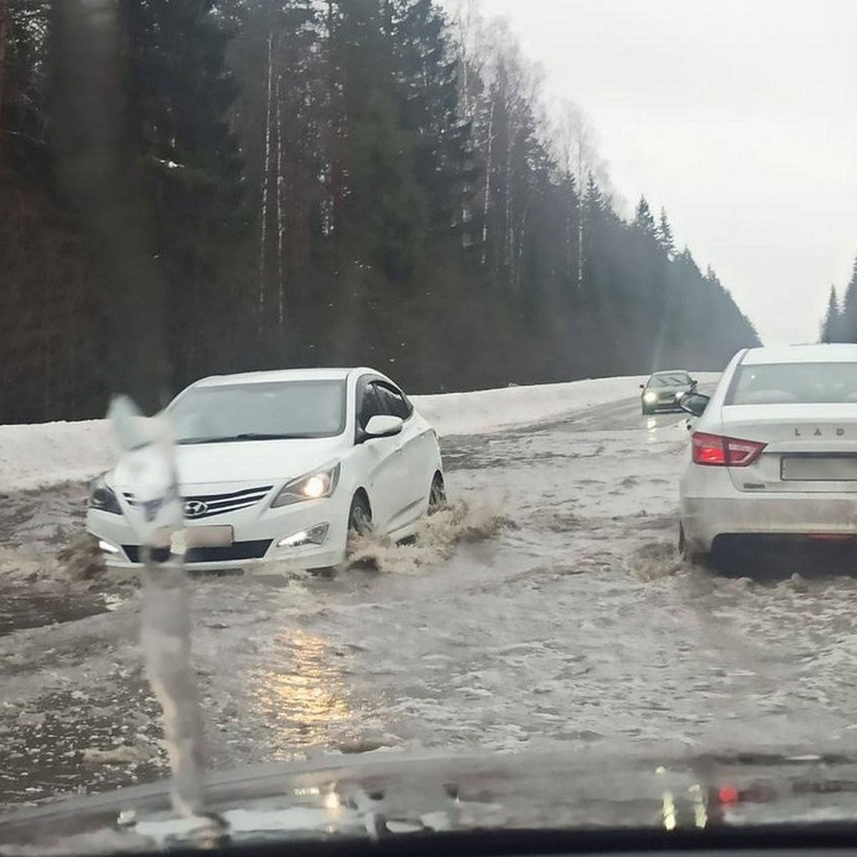 Последствия оттепели в Санкт-Петербурге 17 февраля 2024 года: Затопленный  город, череда ДТП и травмы от гололеда - KP.RU