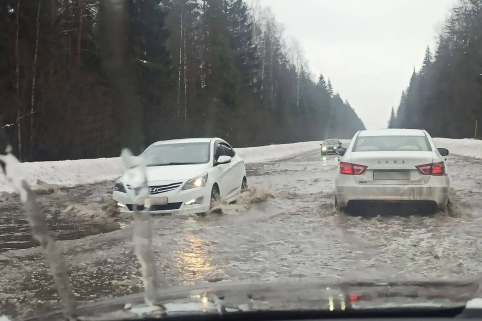 Огромные лужи образовались в Петербурге из-за оттепели 17 февраля. Фото: t.me/pitertop