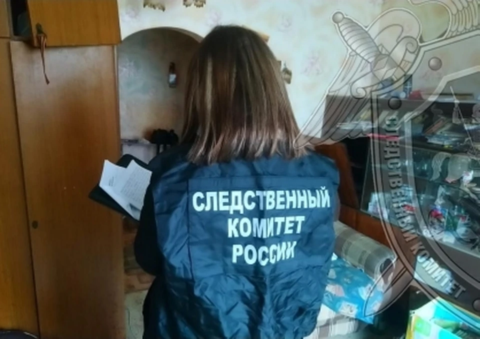 Фото: пресс-служба СУ СК России по Костромской области