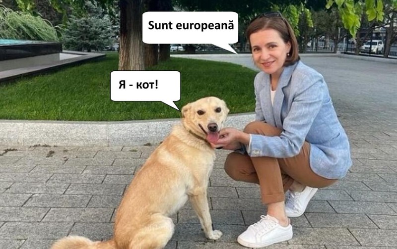 В соцсетях тут же стали шутить (Фото: соцсети).