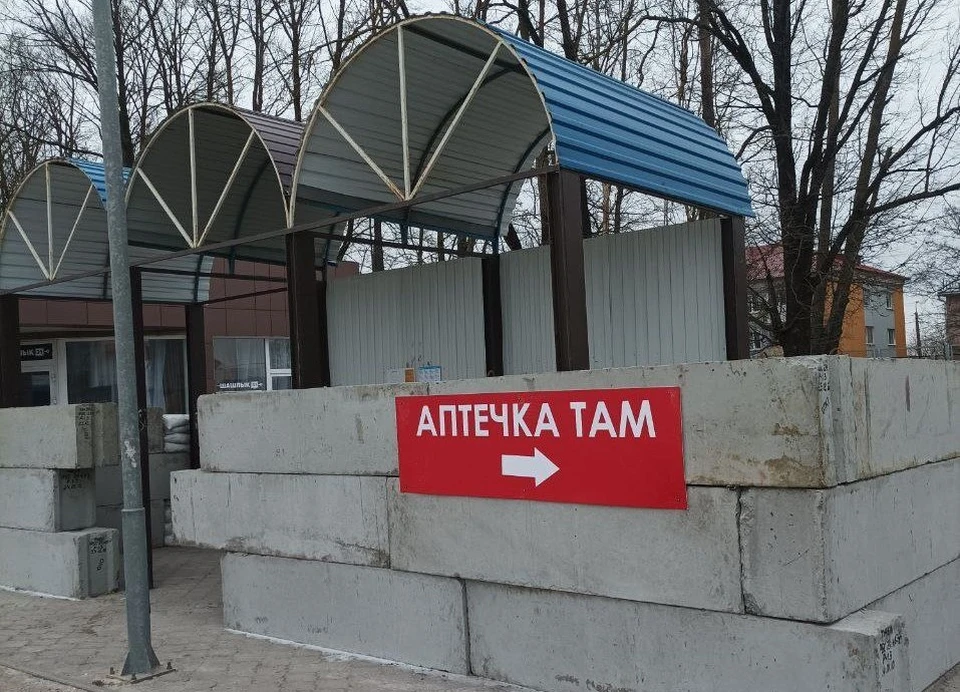 Фото: пресс-служба мэрии Белгорода.