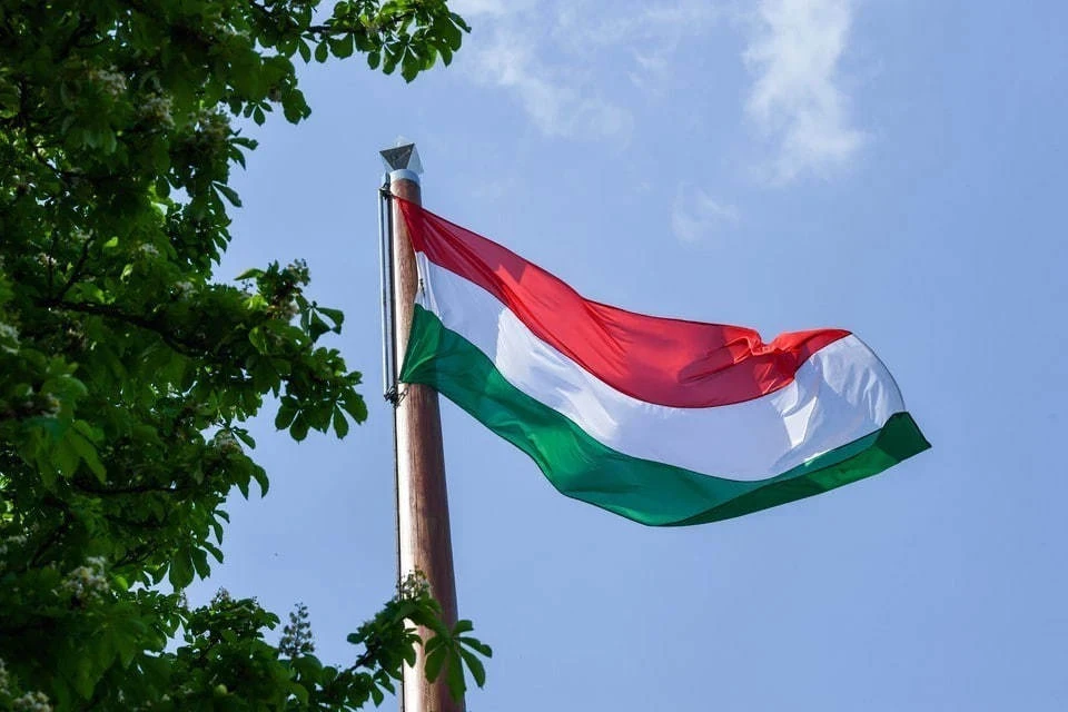 Парламент Венгрии избрал президентом страны главу Конституционного суда Шуйока
