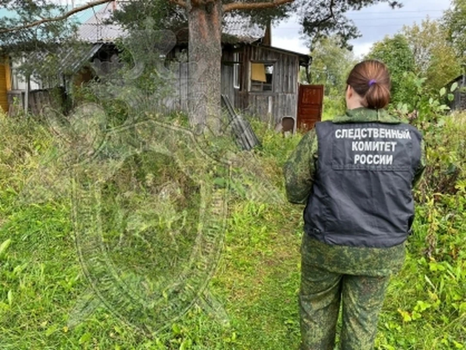 Фото: пресс-служба СУ СК России по Костромской области