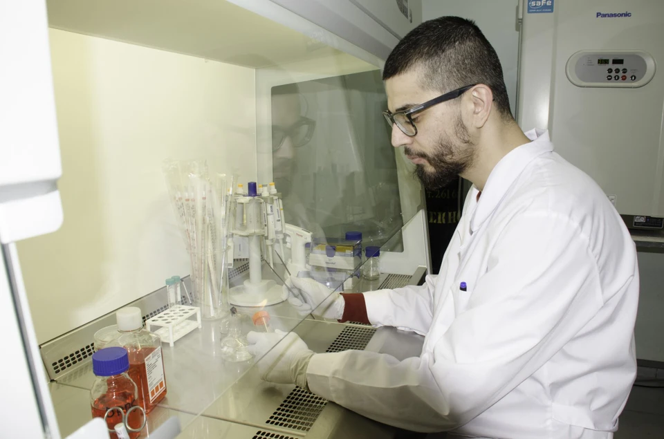 Ученые приблизились к созданию нового лекарства от агрессивного рака. / Фото: пресс-служба Тольяттинского госуниверситета