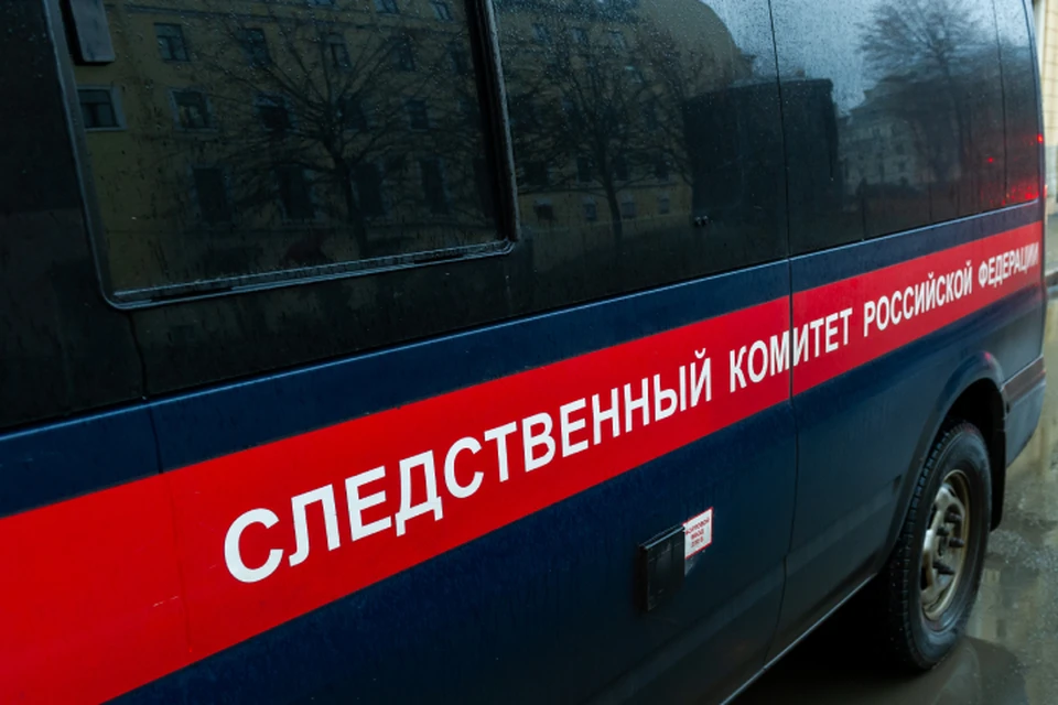 По факту происшествия возбуждено уголовное дело, ведется расследование.