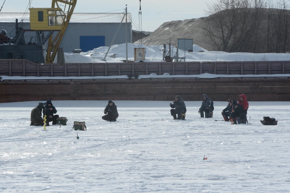 Десятки рыбаков ежедневно приезжают рыбачить на Борковской затон.