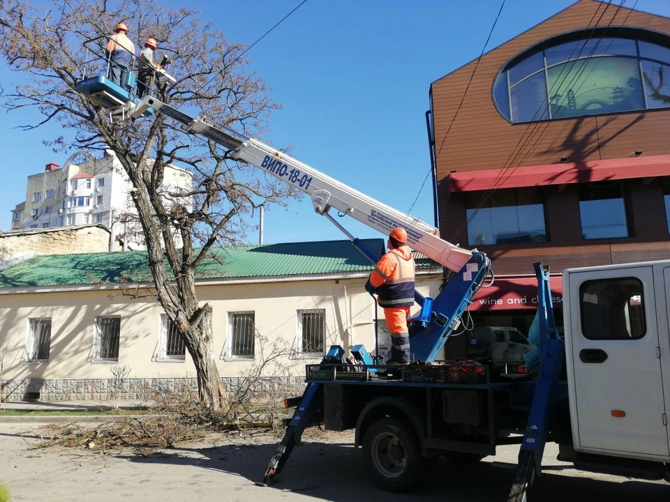 В Симферополе ведется санитарная обрезка деревьев на улицах и парках.