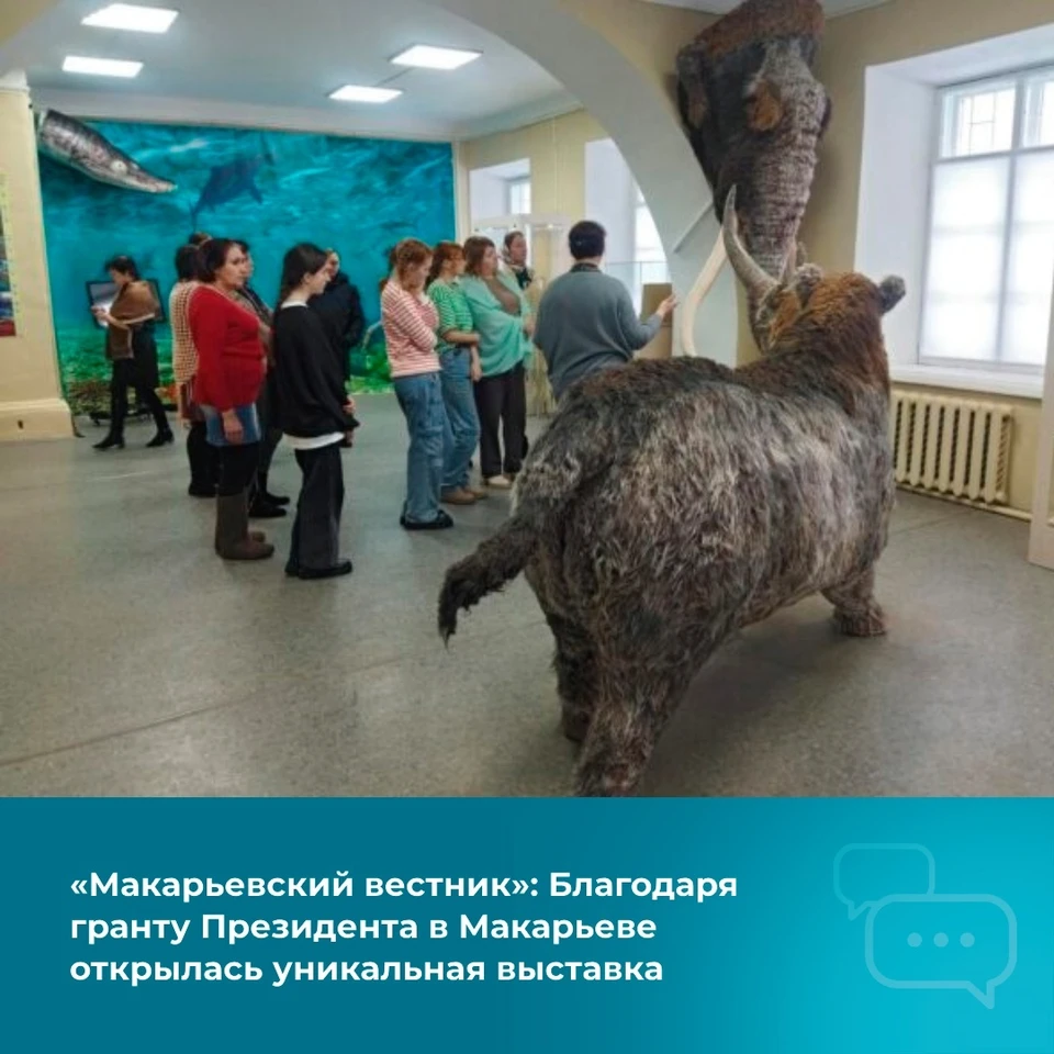 Фото: https://vk.com/dip44