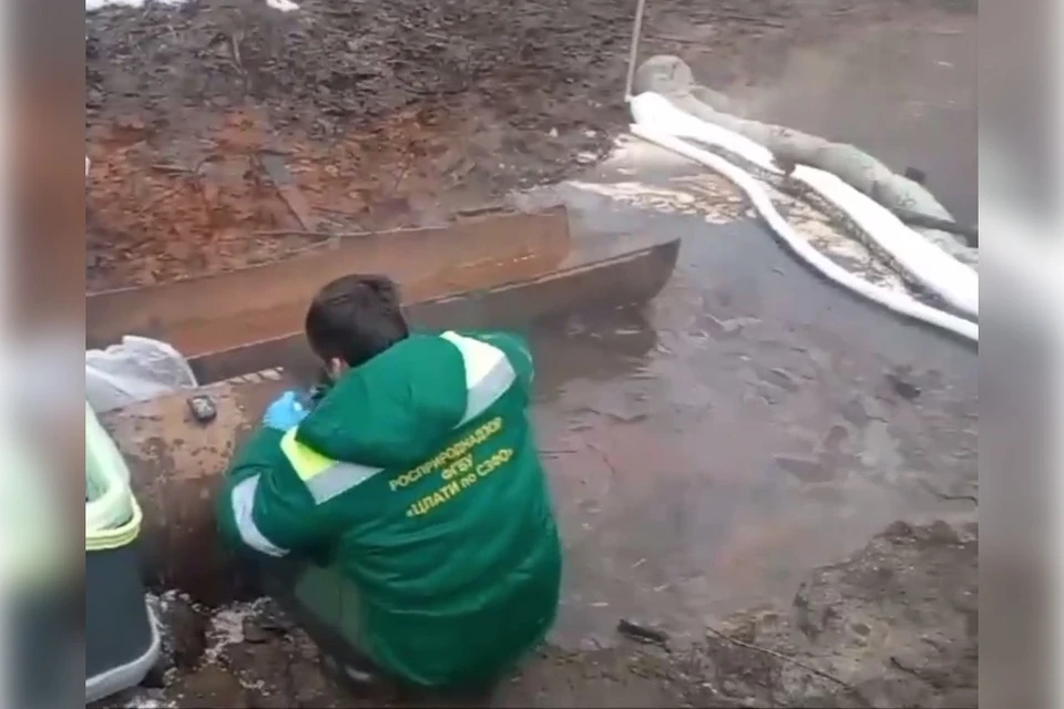 Неизвестные слили нефтепродукты в Муринский ручей - KP.RU