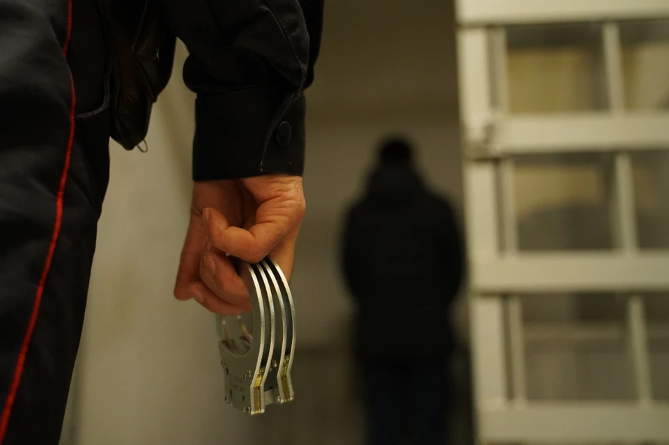 Житель Забайкалья пытался избить полицейского мультиваркой