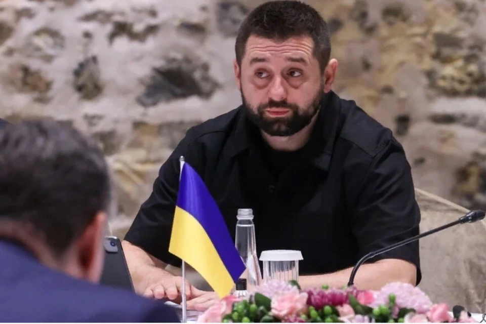 Давид Арахамия озвучил план восстановления отношений Украины и Грузии
