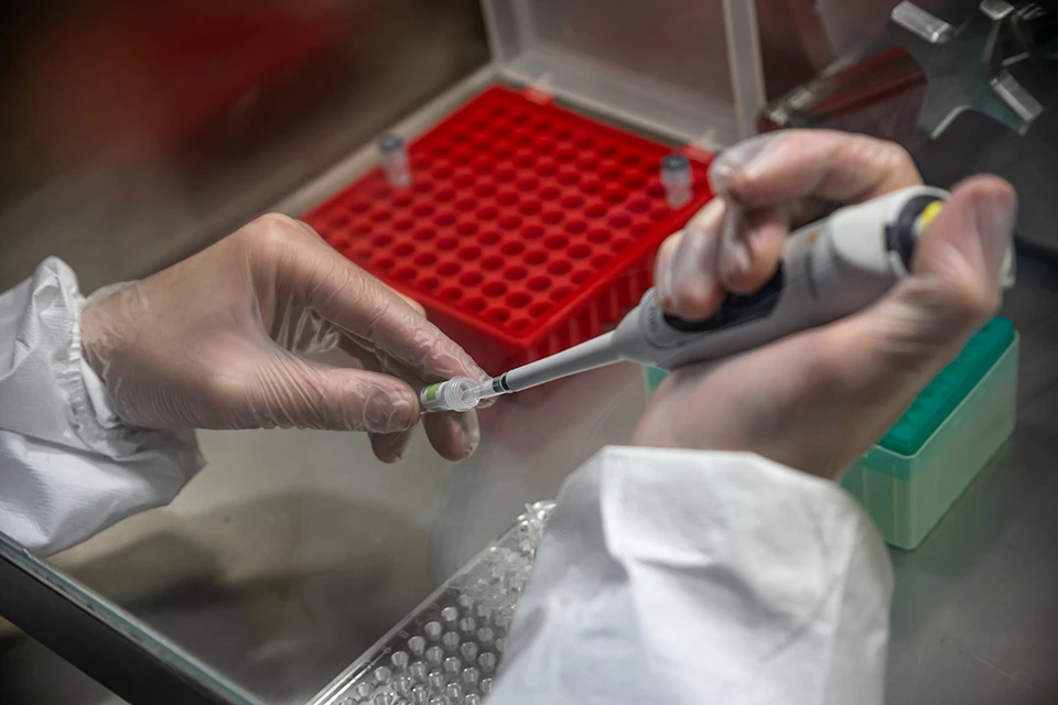 Штамм гриппа Ягамато исчез из-за пандемии коронавируса