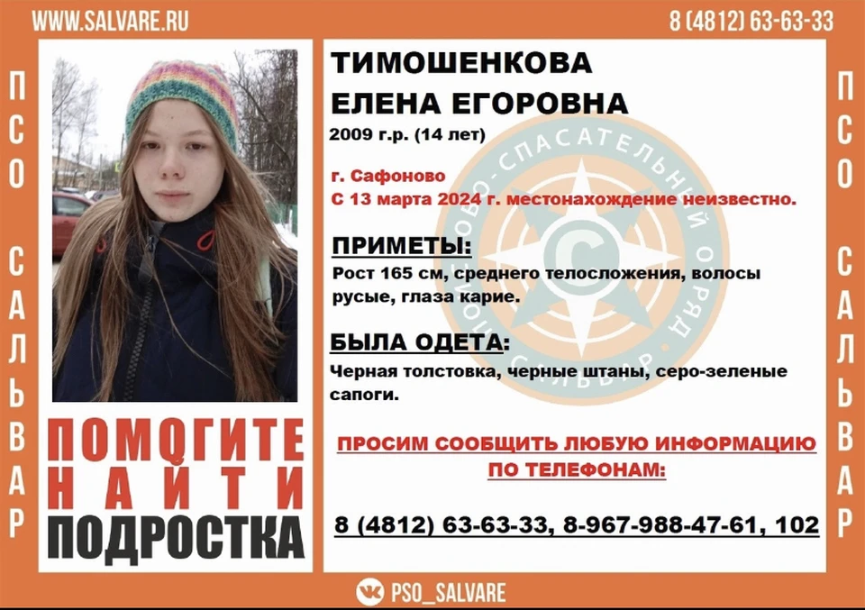 14-летняя девочка пропала в Сафоново Фото: ПСО "Сальвар" г.Смоленск