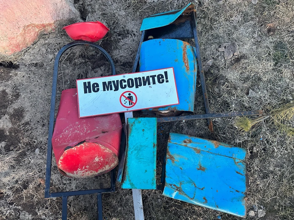Фото: группа молодежного ТОСа Великолукского района «Фотьевский край» в соцсети «ВКонтакте».