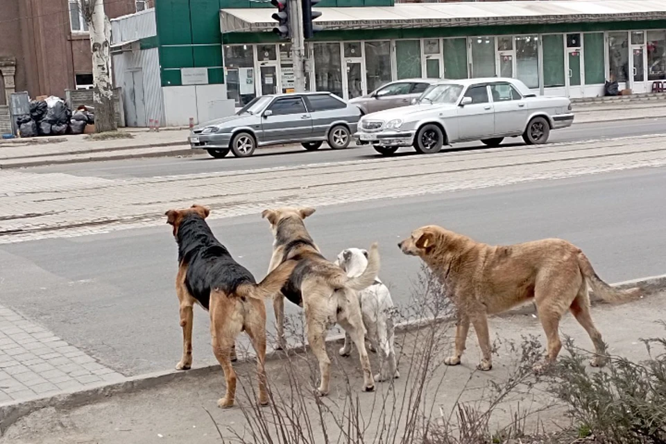 Весенние дни становятся длиннее и теплее